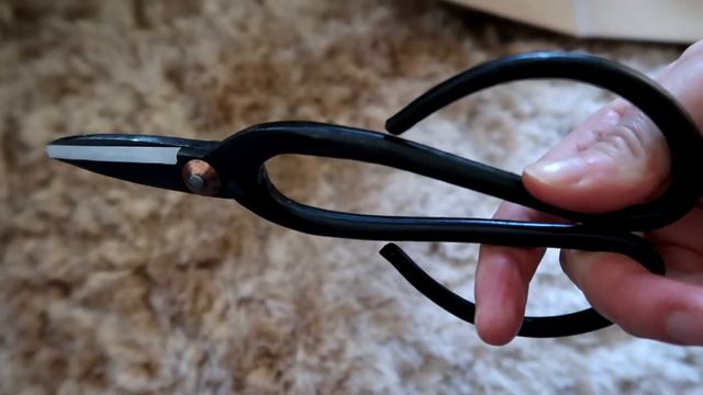 Patch Plants Haul, Unboxing & Review! | House Plant Haul! смотреть онлайн