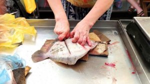 КАМБАЛА (калкан) – Лучшая рыба Азовского моря ❤️ Бердянск, Бердянская коса Лето 2021