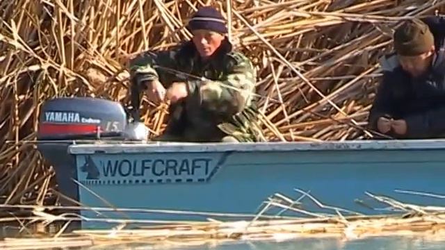 Сазан смотреть онлайн