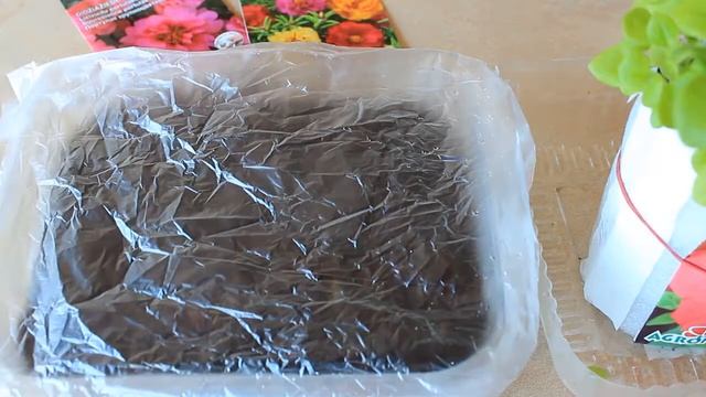 Зеленые истории