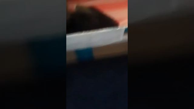 Во время тихого часа #2 смотреть онлайн