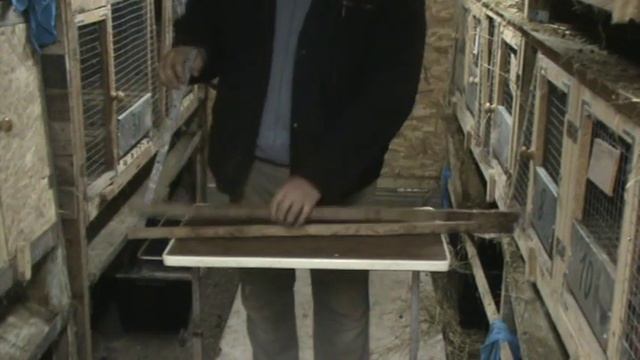 Сушка шкурки кролика смотреть онлайн