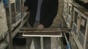 Сушка шкурки кролика