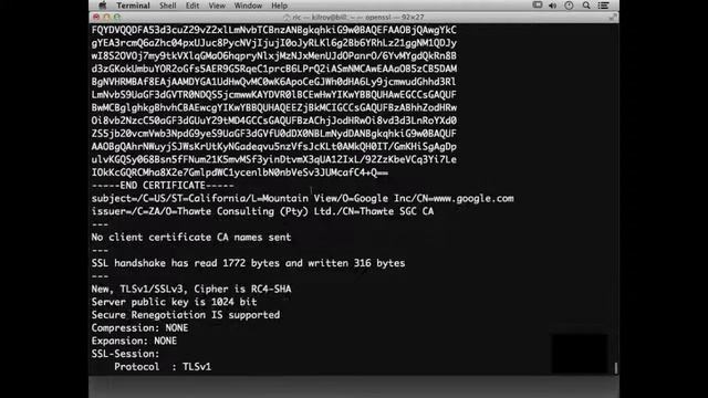 Advanced Ethical Hacking - 6. Manual Testing смотреть онлайн