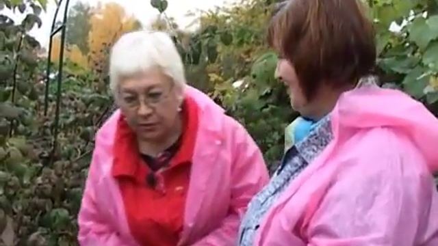 Дачные советы 26.09.2014 смотреть онлайн