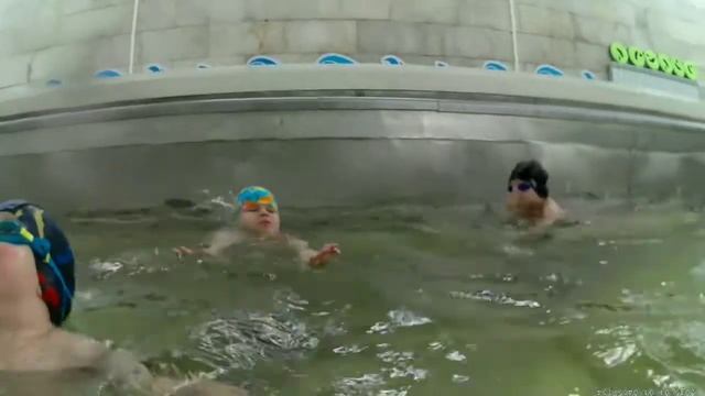 Обучение плаванию детей 3,5 - 6 лет смотреть онлайн