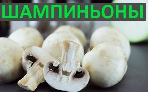 Как варить шампиньоны.Сколько варить шампиньоны.