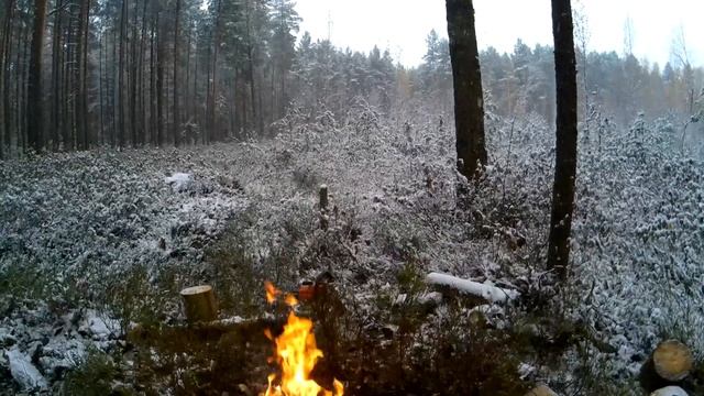 Первый снег в лесу мы работаем вдвоем смотреть онлайн