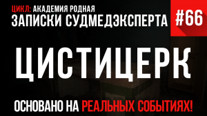 Записки Судмедэксперта #66 «Цистицерк»