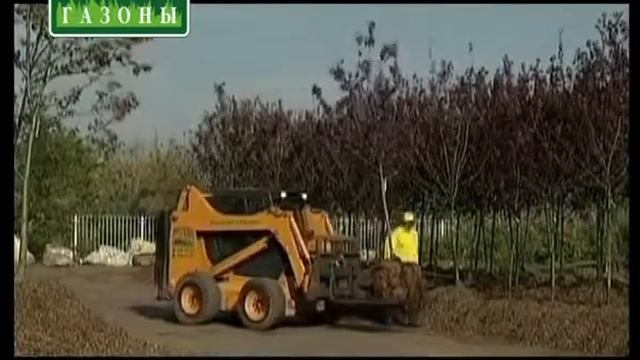 gazony.com — Крупномерные деревья и кустарники «под ключ» от компании "Русские Газоны" смотреть онлайн