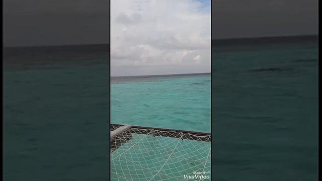 Как попасть из Гоа на Мальдивы? Смотрите видео, все подробно рассказываем. смотреть онлайн