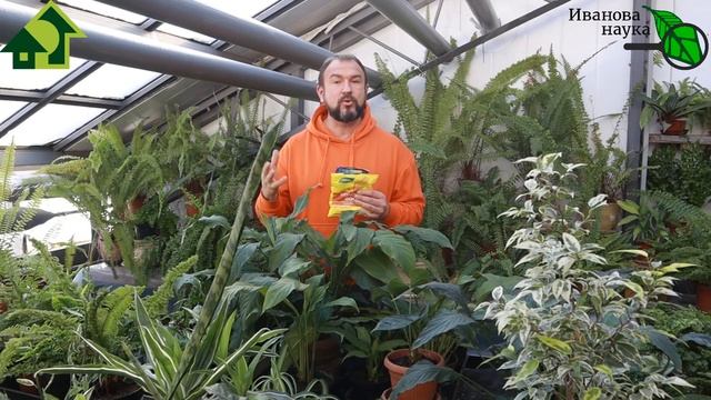 Анти-ПОДКОРМКА РАССАДЫ! Запрограммируйте рассаду на урожай! Два НЕДЕШЕВЫХ средства НЕСОВМЕСТИМЫ! смотреть онлайн