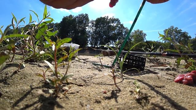 рыбалка на кубани рыбалка на реке кубань рыбалка краснодарский край рыбалка река кубань крымск смотреть онлайн