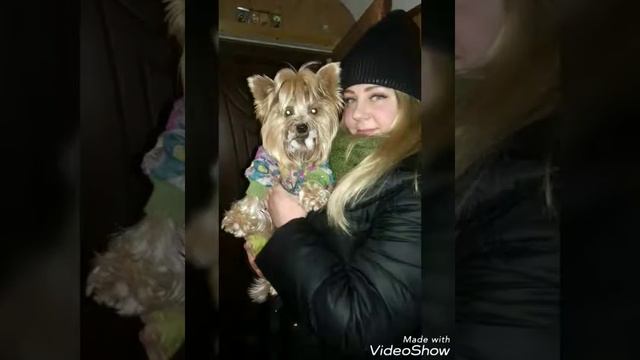 Каждий день. Люблю вас всех смотреть онлайн