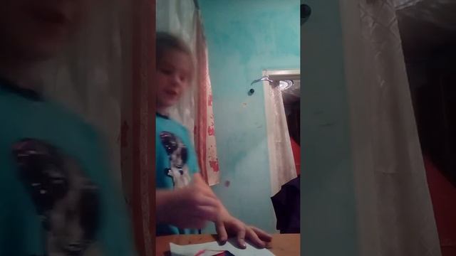 Кошечки собачки лучшая семья