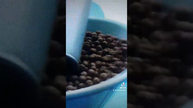 Kalle och chokladfabriken смотреть онлайн
