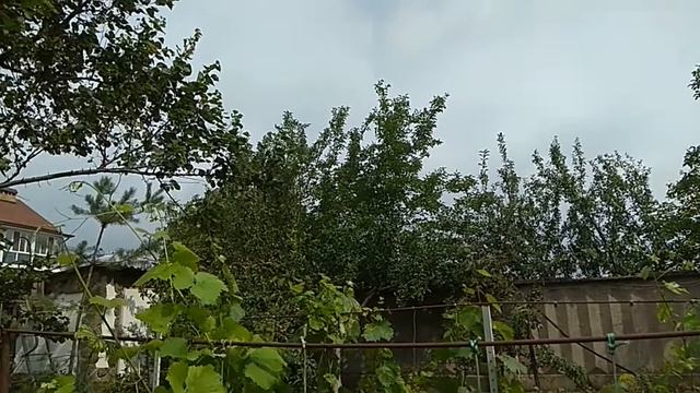 Гибридный инвертор +генератор. Как использовать? Альтернатива есть. смотреть онлайн