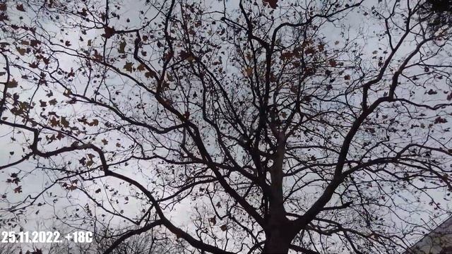 Зимний пляж Шепси. Пансионат Шепси. смотреть онлайн