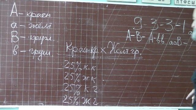 99 Помидоры, или AaBb и aaBb смотреть онлайн
