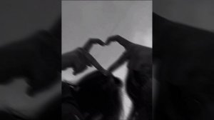 NЮ - целовал, целовал, целовал