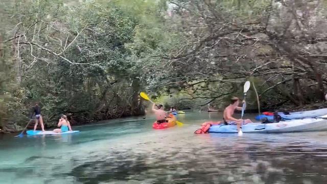 Как мы гонялись за морскими коровами (ламантинами). смотреть онлайн