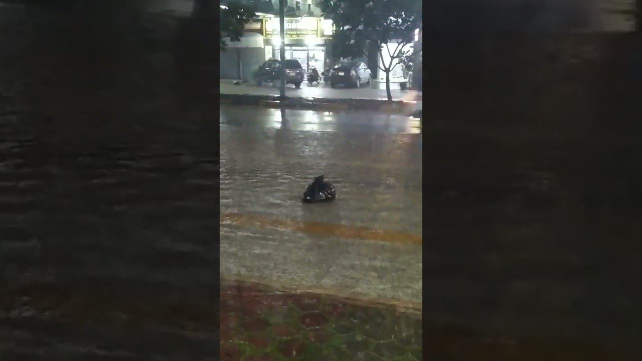 Мусорный кораблик смотреть онлайн