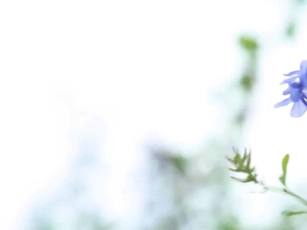 RELAX смотреть онлайн