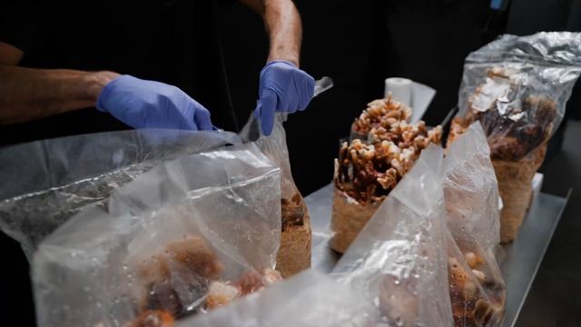 Fruiting Reishi Mushrooms | Southwest Mushrooms