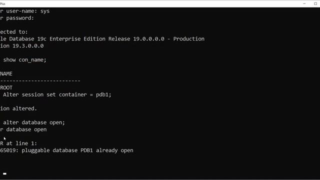 Verifying that new database has been created using Database Configuration Assistant Oracle 19c смотреть онлайн