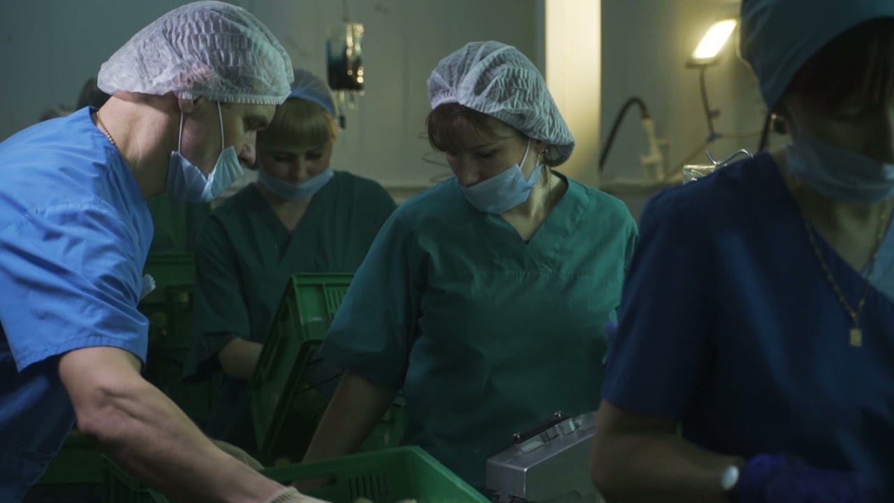 Вакцинация смотреть онлайн