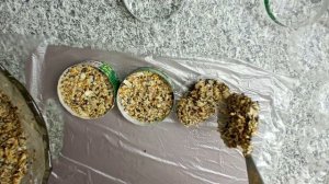 ЭКО кормушка для птиц Печенье Мастер класс