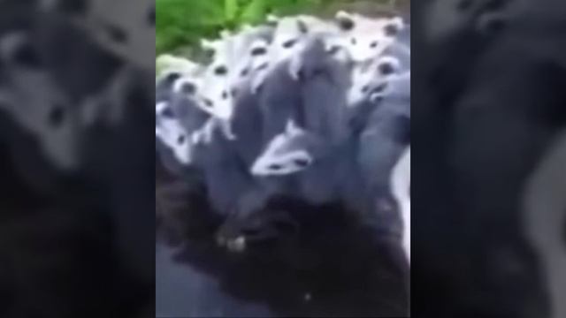Смена места жительства смотреть онлайн
