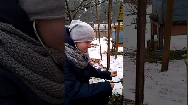 Дочка слушает пчел зимой с помощью стетоскопа. Daughter listens to bees in winter with a stethoscop смотреть онлайн