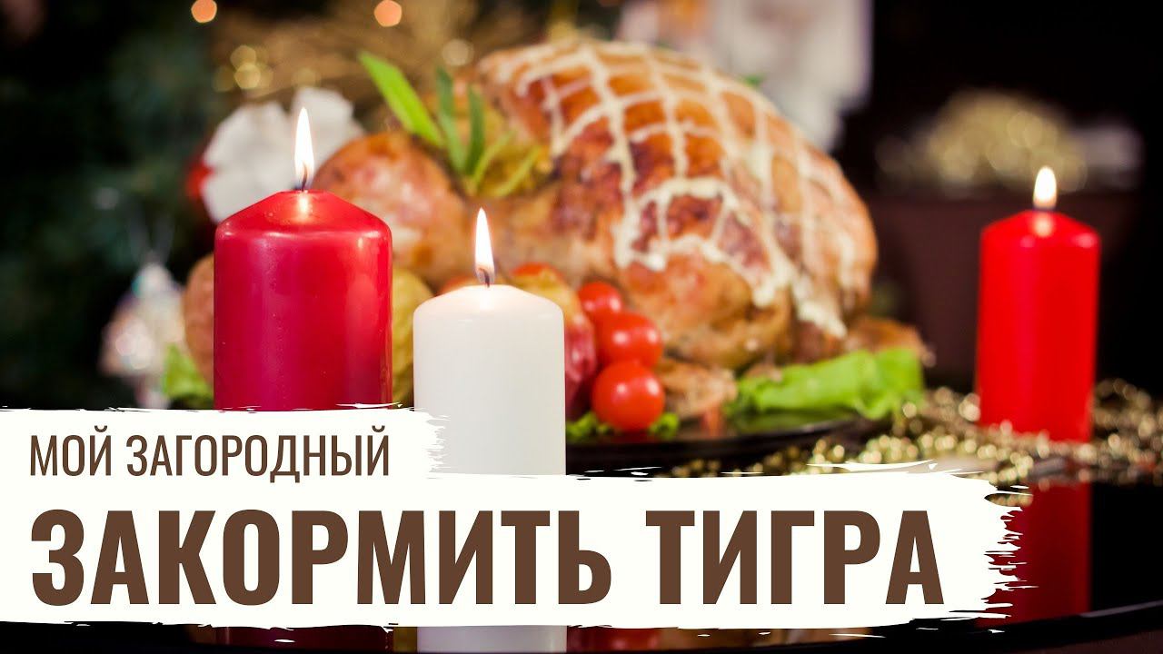 Закормить Тигра // Мой Загородный