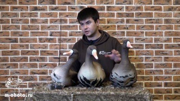 Чучела гусей North Way SoftPlast 3d, SoftPlast (Софт пласт), ALFA (Альфа)