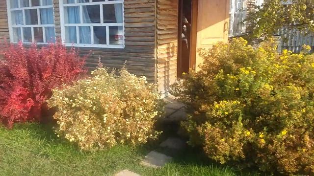 Моя дачая смотреть онлайн