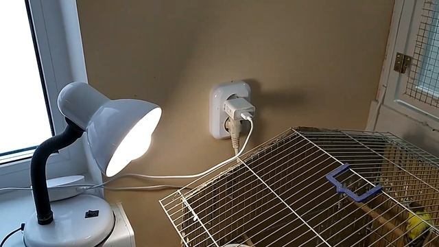 Умный дом. Система умный дом в дачном доме. Отопление смотреть онлайн