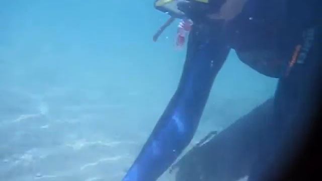 Greece diving movie 3 смотреть онлайн