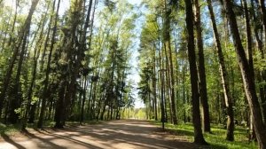 "Дядь, дай 10 рублей, погадаю" - сказала малышка, а едва протянула руку, богачу стало не по себе