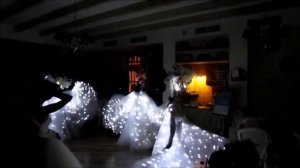 Танец со светящимися крыльями  www.art-elegance-show.ru