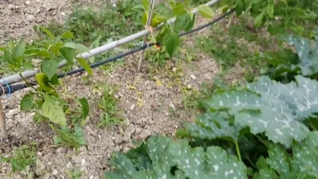 21 juin 2018 смотреть онлайн