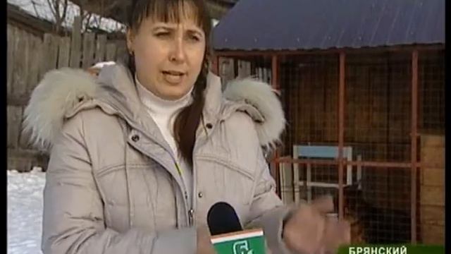Брянские рыбаки выходили смотреть онлайн