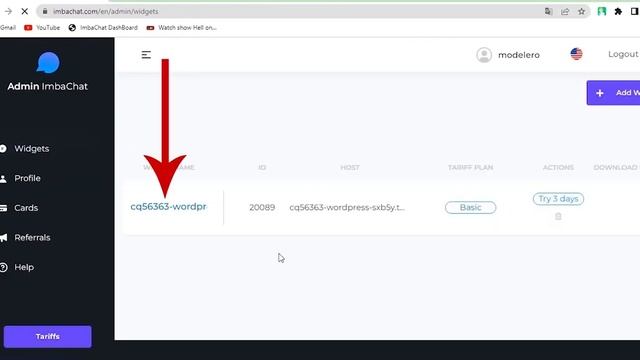 Imbachat WordPress plugin chat (Installation in 60 sec) смотреть онлайн