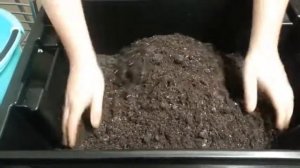 Разведение червя Дендробена. Приготовление субстрата