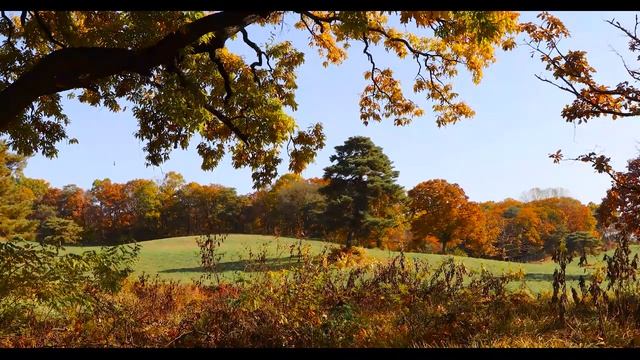 Рыба на Крючке