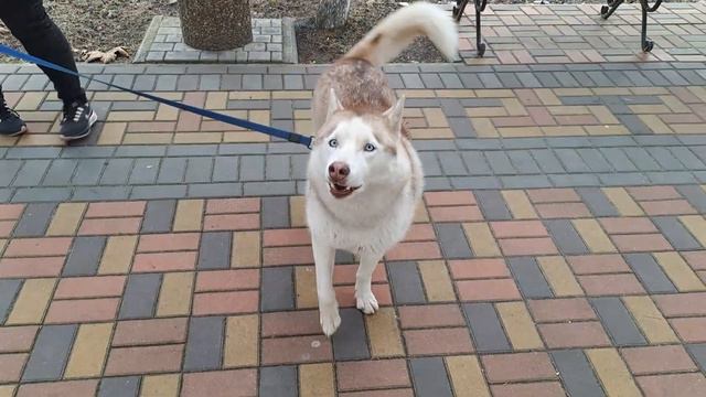 О жизни в НОВОМ РЕГИОНЕ РОССИИ ! Нам понравилось !!! смотреть онлайн