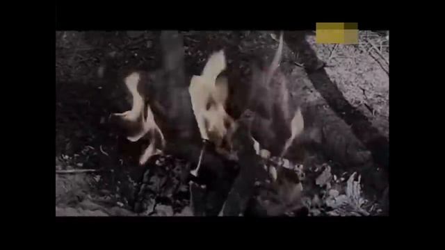 Охотники за головами смотреть онлайн