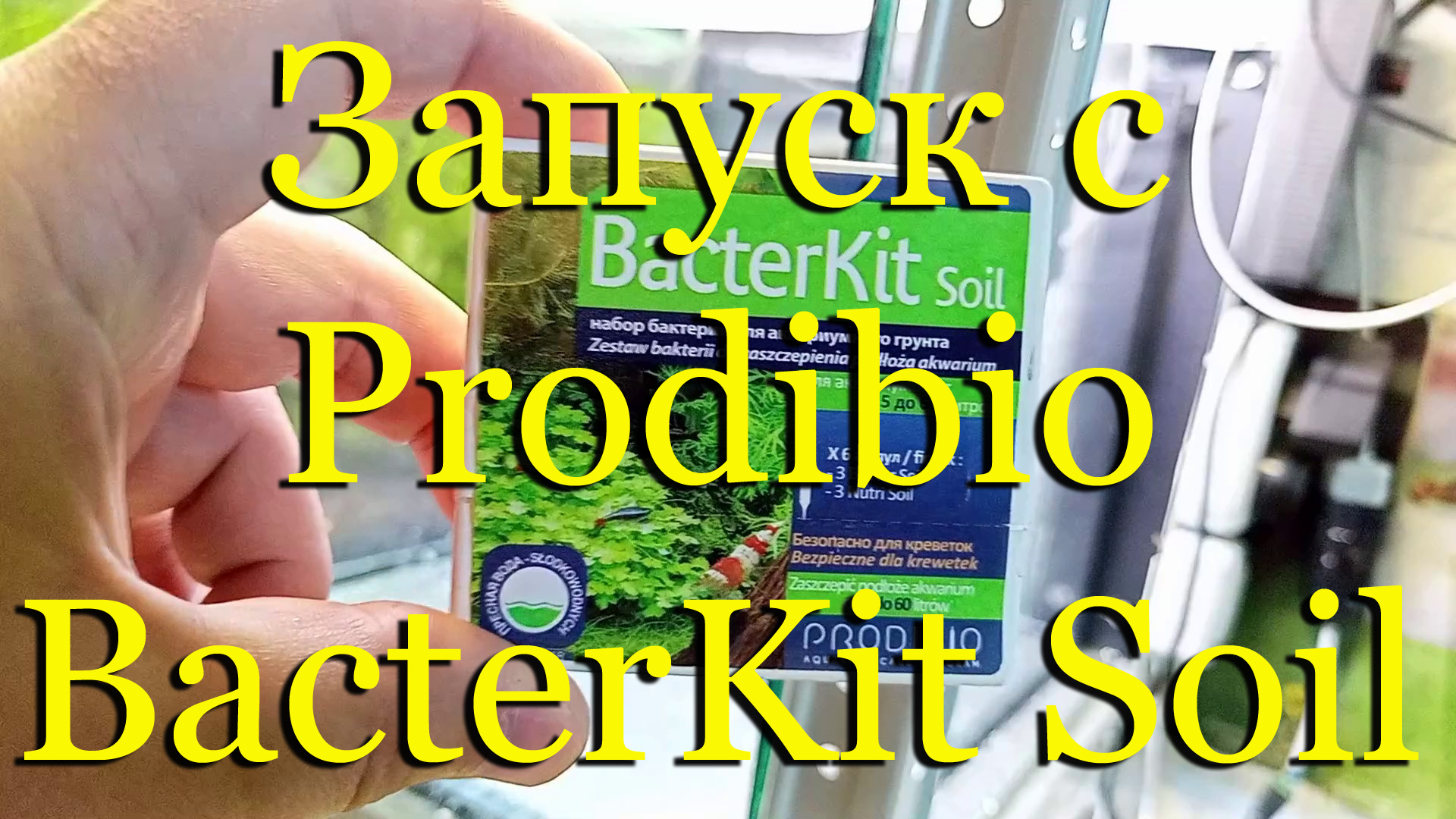 #Запуск креветочника на сойле Prodibio AquaShrimp Powder Soil с бактериями Prodibio BacterKit Soil смотреть онлайн