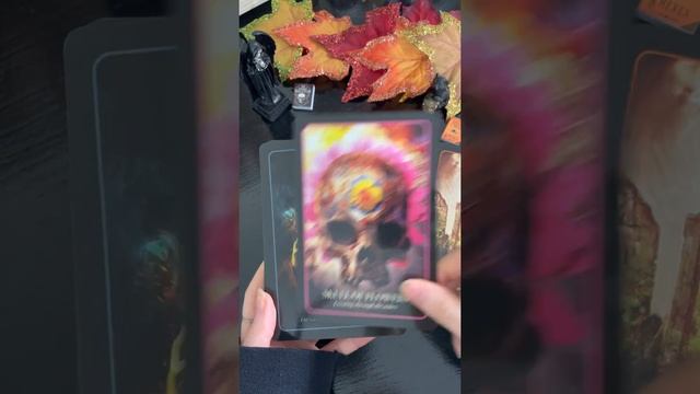 Quick Tour of the Halloween Oracle! ??✨ смотреть онлайн