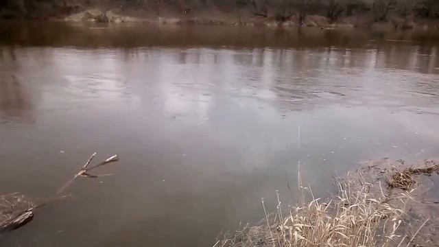 Жерех 5кг.Беларусь смотреть онлайн